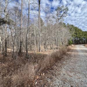 Photo #17 of 405 Batts Island Road, Edenton, NC 10.7 acres