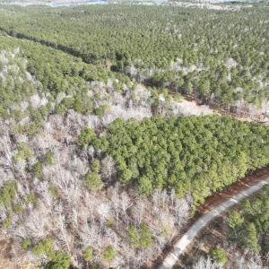 Photo #3 of 405 Batts Island Road, Edenton, NC 10.7 acres