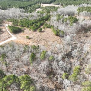 Photo #4 of 405 Batts Island Road, Edenton, NC 10.7 acres