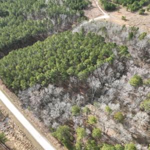 Photo #5 of 405 Batts Island Road, Edenton, NC 10.7 acres