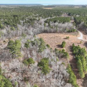 Photo #8 of 405 Batts Island Road, Edenton, NC 10.7 acres