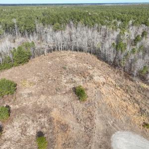 Photo #9 of 405 Batts Island Road, Edenton, NC 10.7 acres