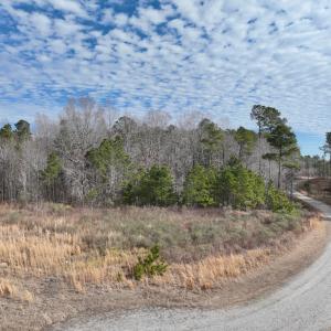 Photo #18 of 405 Batts Island Road, Edenton, NC 10.7 acres