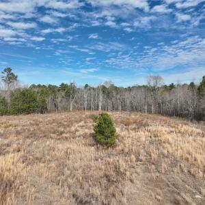 Photo #19 of 405 Batts Island Road, Edenton, NC 10.7 acres