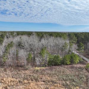 Photo #20 of 405 Batts Island Road, Edenton, NC 10.7 acres