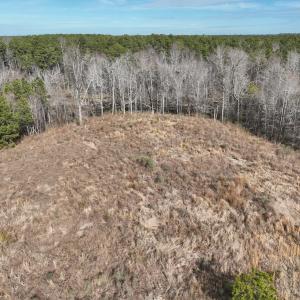 Photo #21 of 405 Batts Island Road, Edenton, NC 10.7 acres