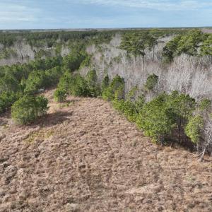 Photo #22 of 405 Batts Island Road, Edenton, NC 10.7 acres