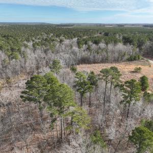 Photo #23 of 405 Batts Island Road, Edenton, NC 10.7 acres