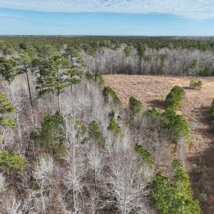 Photo #24 of 405 Batts Island Road, Edenton, NC 10.7 acres
