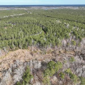 Photo #27 of 405 Batts Island Road, Edenton, NC 10.7 acres