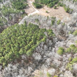 Photo #31 of 405 Batts Island Road, Edenton, NC 10.7 acres