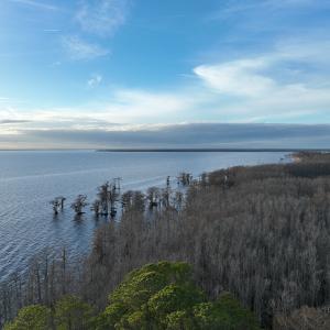 Photo #39 of 405 Batts Island Road, Edenton, NC 10.7 acres