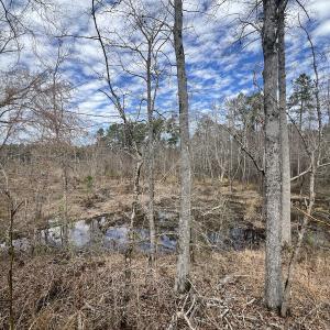 Photo #40 of 405 Batts Island Road, Edenton, NC 10.7 acres