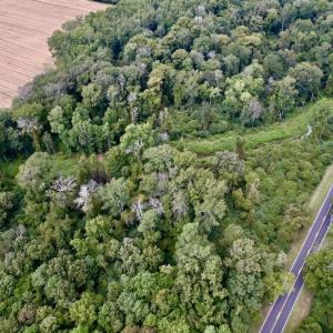 Photo #11 of SOLD property in Off NC 11 S, Ayden, NC 15.0 acres