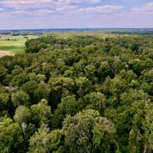 Photo #12 of SOLD property in Off NC 11 S, Ayden, NC 15.0 acres