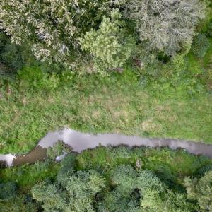 Photo #14 of SOLD property in Off NC 11 S, Ayden, NC 15.0 acres