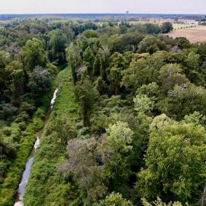 Photo #15 of SOLD property in Off NC 11 S, Ayden, NC 15.0 acres
