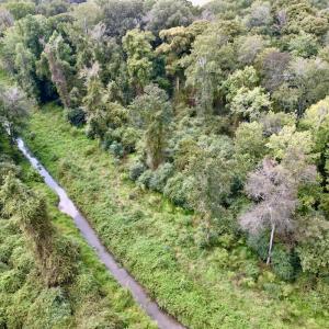 Photo #16 of SOLD property in Off NC 11 S, Ayden, NC 15.0 acres