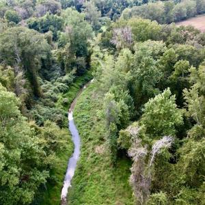 Photo #17 of SOLD property in Off NC 11 S, Ayden, NC 15.0 acres