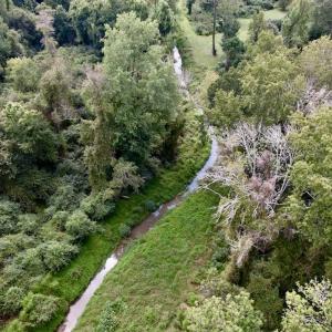 Photo #18 of SOLD property in Off NC 11 S, Ayden, NC 15.0 acres