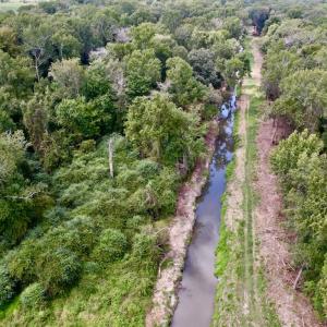 Photo #20 of SOLD property in Off NC 11 S, Ayden, NC 15.0 acres