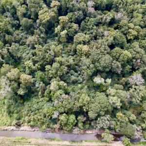 Photo #22 of SOLD property in Off NC 11 S, Ayden, NC 15.0 acres