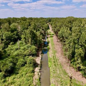 Photo #27 of SOLD property in Off NC 11 S, Ayden, NC 15.0 acres
