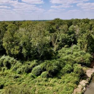 Photo #28 of SOLD property in Off NC 11 S, Ayden, NC 15.0 acres