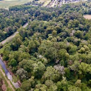 Photo #4 of SOLD property in Off NC 11 S, Ayden, NC 15.0 acres