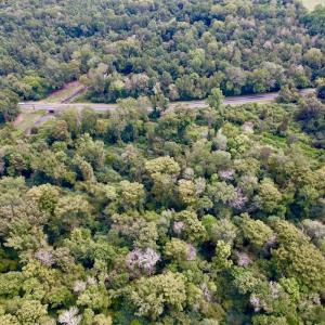 Photo #6 of SOLD property in Off NC 11 S, Ayden, NC 15.0 acres