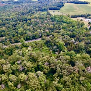 Photo #7 of SOLD property in Off NC 11 S, Ayden, NC 15.0 acres