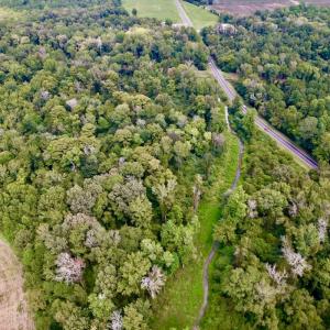 Photo #8 of SOLD property in Off NC 11 S, Ayden, NC 15.0 acres