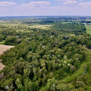Photo #9 of SOLD property in Off NC 11 S, Ayden, NC 15.0 acres