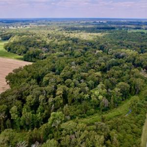 Photo #10 of SOLD property in Off NC 11 S, Ayden, NC 15.0 acres