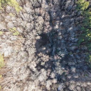 Photo #23 of Off Western Mill Rd, Lawrenceville, VA 40.0 acres