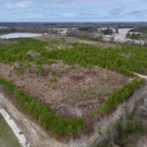 Photo #2 of SOLD property in Off Highway 55, Dover, NC 47.2 acres
