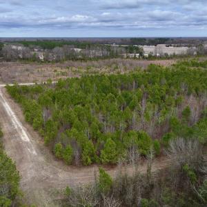 Photo #11 of SOLD property in Off Highway 55, Dover, NC 47.2 acres