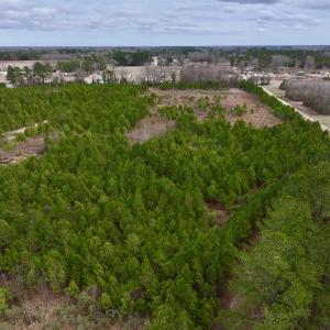 Photo #12 of SOLD property in Off Highway 55, Dover, NC 47.2 acres