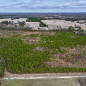 Photo #14 of SOLD property in Off Highway 55, Dover, NC 47.2 acres