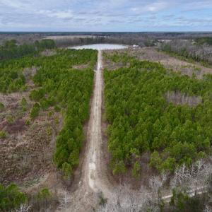 Photo #15 of SOLD property in Off Highway 55, Dover, NC 47.2 acres