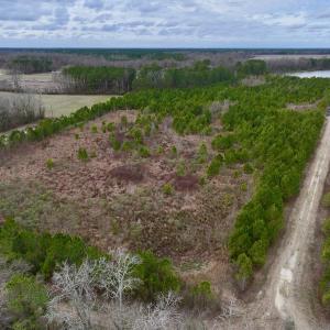 Photo #16 of SOLD property in Off Highway 55, Dover, NC 47.2 acres