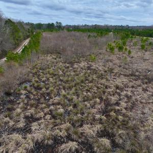 Photo #17 of SOLD property in Off Highway 55, Dover, NC 47.2 acres