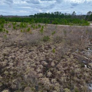 Photo #18 of SOLD property in Off Highway 55, Dover, NC 47.2 acres