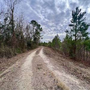 Photo #20 of SOLD property in Off Highway 55, Dover, NC 47.2 acres