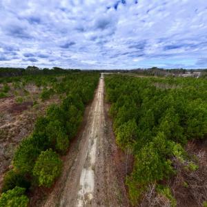 Photo #5 of SOLD property in Off Highway 55, Dover, NC 47.2 acres