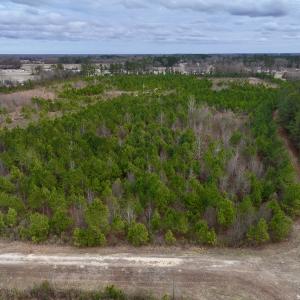 Photo #8 of SOLD property in Off Highway 55, Dover, NC 47.2 acres