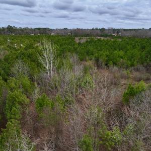 Photo #10 of SOLD property in Off Highway 55, Dover, NC 47.2 acres