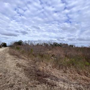 Photo #21 of SOLD property in Off Highway 55, Dover, NC 47.2 acres