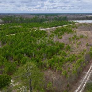 Photo #23 of SOLD property in Off Highway 55, Dover, NC 47.2 acres