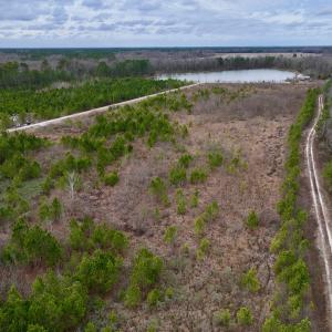 Photo #24 of SOLD property in Off Highway 55, Dover, NC 47.2 acres